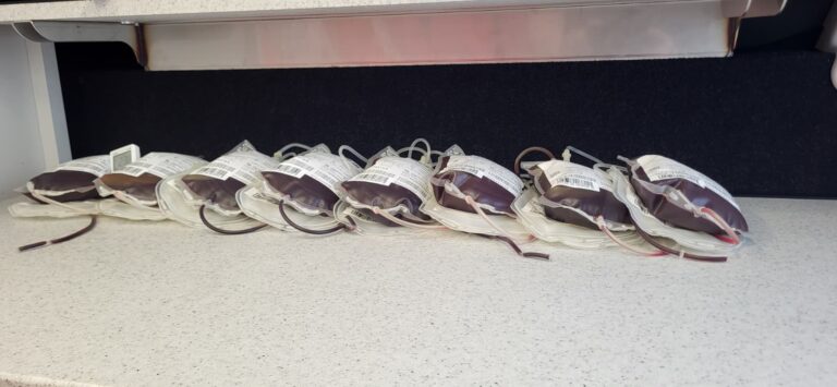 WhatsApp Image 2026-02-18 at 13.01