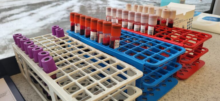 WhatsApp Image 2026-02-18 at 13.01